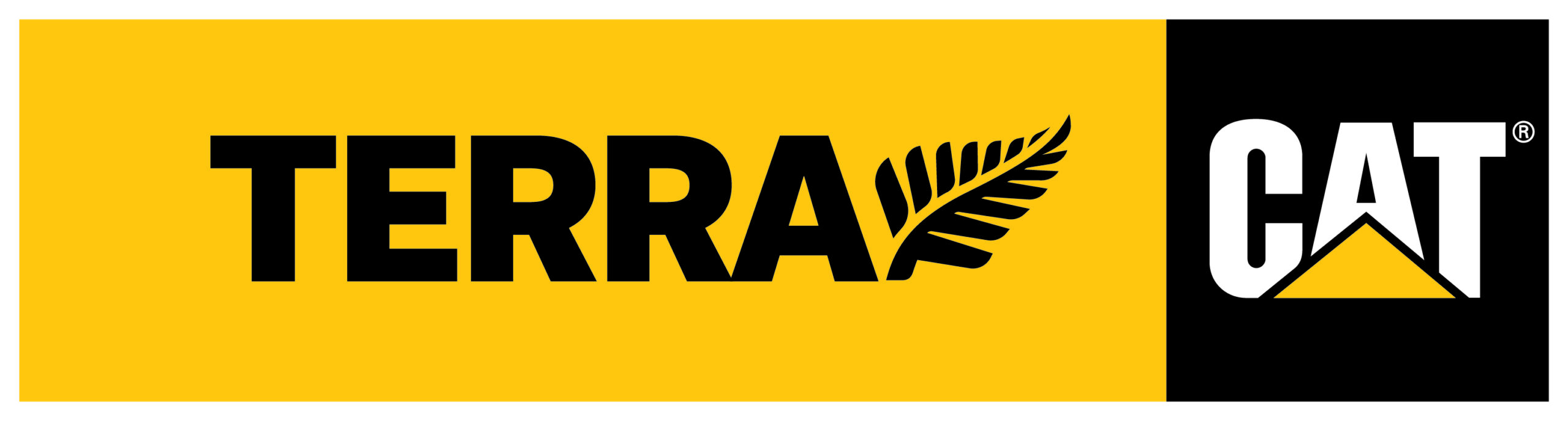 Hi-Res Logo_Terra Cat