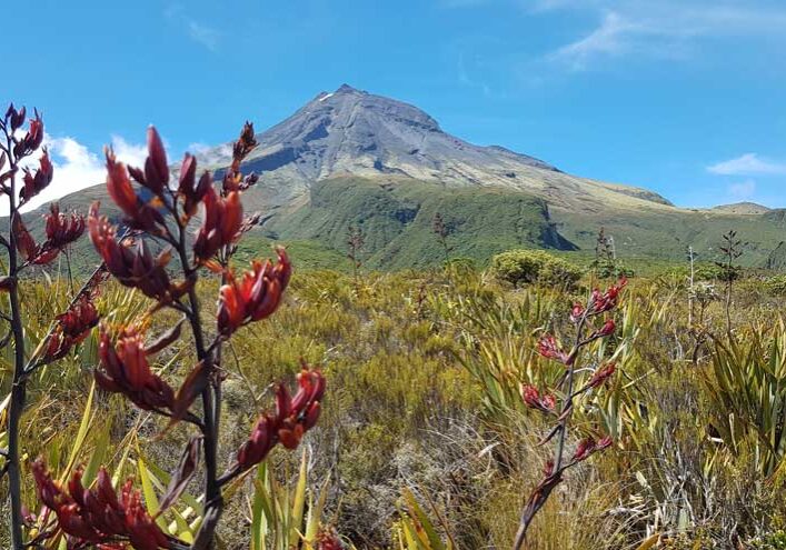 Taranaki Taranaki
